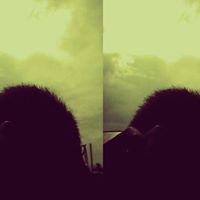 Arif Sawal