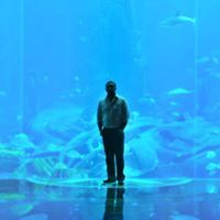 مخدوم شیر شاہ