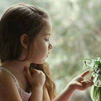 Hanadi Sneig
