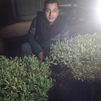 د-أحمد عمرو النجار