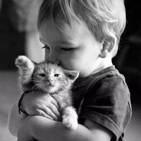 حماده حماده