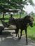 Slamet ...