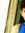 Manan P...