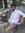 Vinay S...