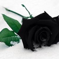 Reeman Sidahmed