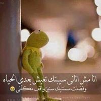 Memo Mohamed