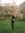 Nicola Nicholson | 74 comments