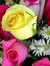Shweta ...