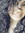 Manasi Joshi (mansie) | 1 comments