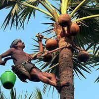 மதன் தமிழன்