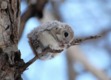✽Laurenj426✽