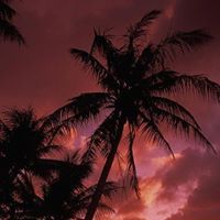 د.ابراهيم رجب