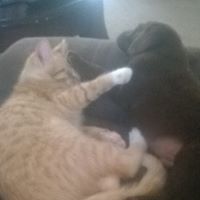 Shaelynn Sutterfield