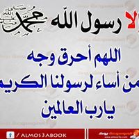 محمد المصرى