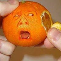 حيدر السيد نور