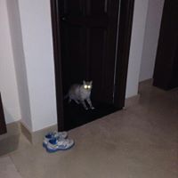 Jonathan Nunez Rodriguez