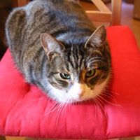 Dave Marshman-Edwards