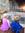 Kathleen Rovner | 12 comments