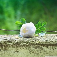 احزان العمر