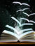 Ahmed Book