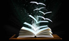 Ahmed Book