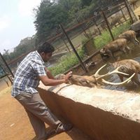 Hemant Gupta