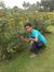 Subhade...
