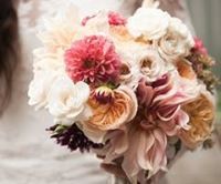 نسيبة القديمي