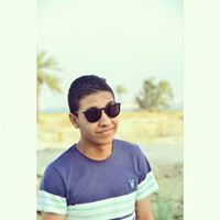 Ahmed M. ElSayed