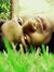 Akhil T...