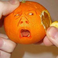 Eng Elfeky