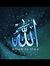 Dina Ahmed