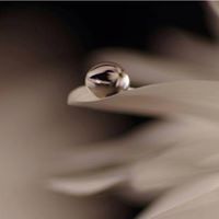 Радослава Чернева