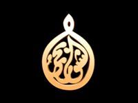 الشوربجى للمقاولات