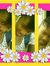 Jodyann...