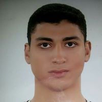 أحمد الربيعى