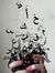 Ahmed N...