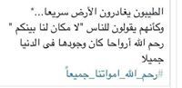 Badr Mohamed
