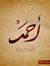 Ahmed B...