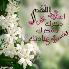 shimaa Mohamed