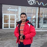 حامد إبراهيم