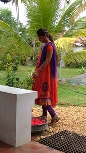 Jyothi Tulasi