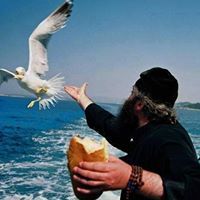 الطيطس العجيب