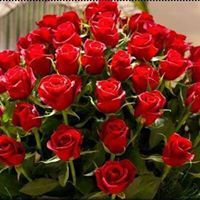 زهرة اللوتس