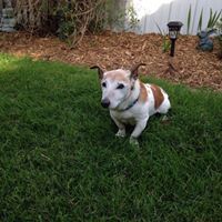 Michele Smith Stricker