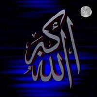 Tamer Mohamed