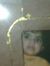 Syeda A...