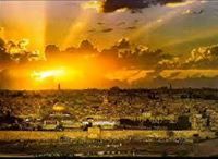 شوق الطفولة