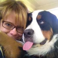 Author Sawyer Bennett