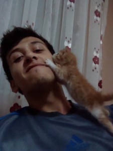 Goce